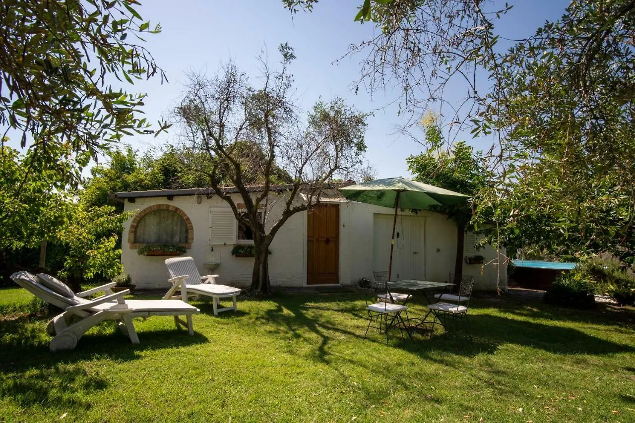 Trecentolivi B&B Montignano