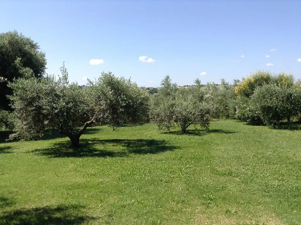 Bed & Breakfast Trecentolivi B&B Montignano