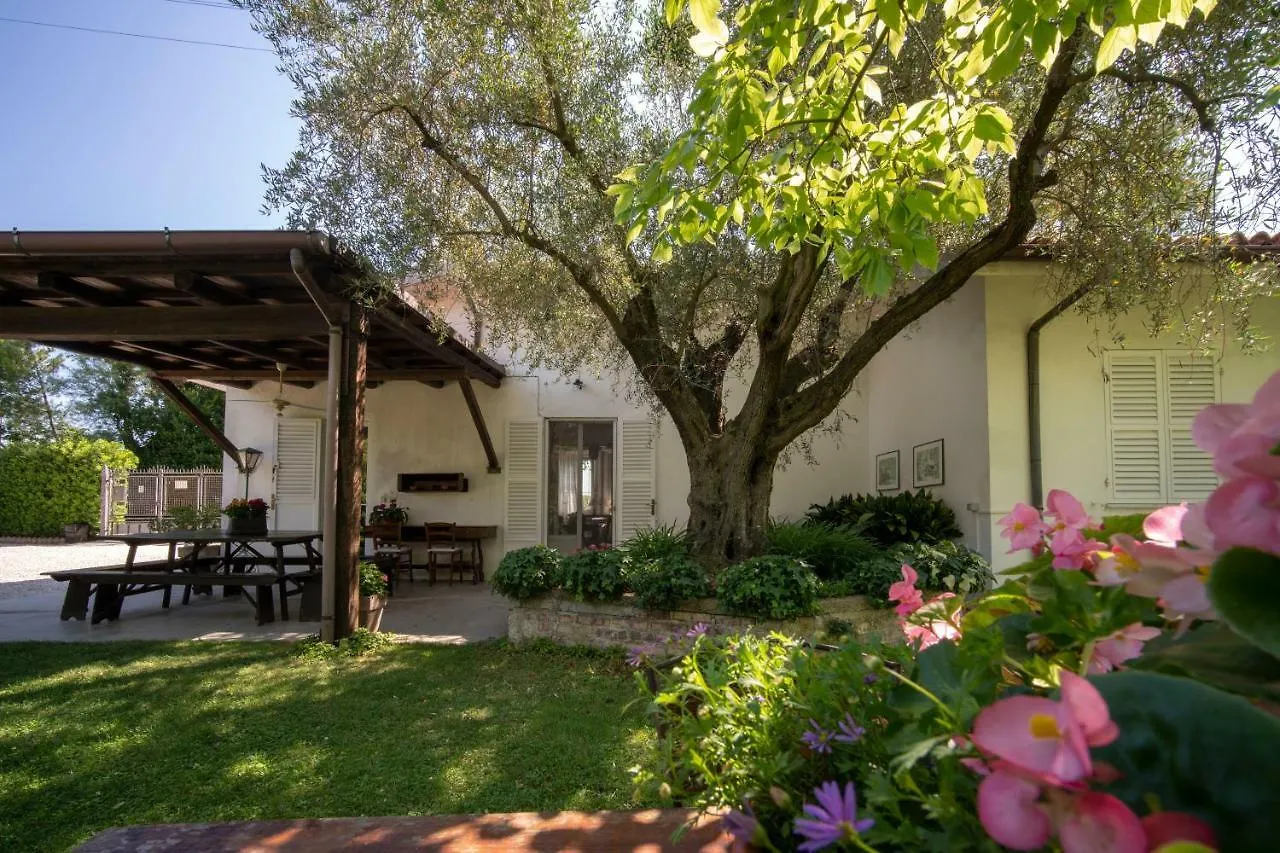 Trecentolivi B&B location